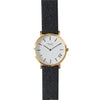 36mm Gold | Pinatex Band (Black) Time IV Change Watches 